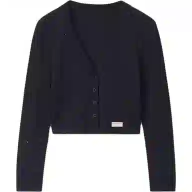 alexander wang FW24 bodywear