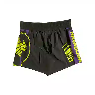 Hayabusa Shorts