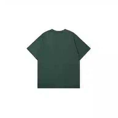 LSVE NASA T
