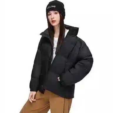 鸭鸭 通勤立领拉链纯色长袖羽绒服 女款