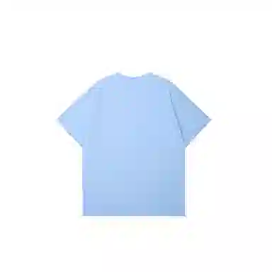 LSVE NASA T
