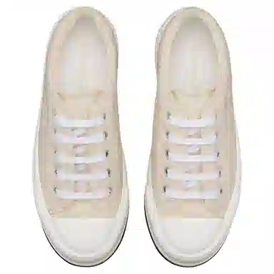 DIOR Walk'n'Dior Oblique