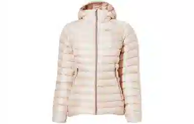 Arcteryx Cerium LT Hoody