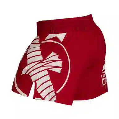 Hayabusa Shorts