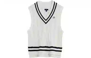 GAP V-Neck Knit Vest