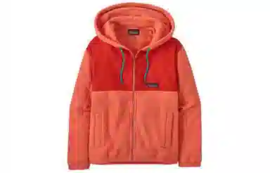patagonia Logo