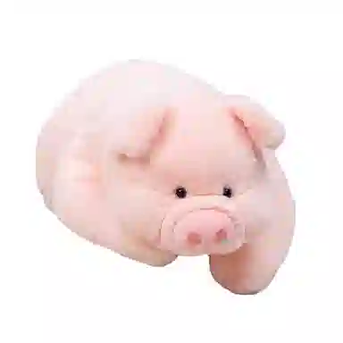 55cm