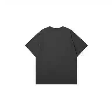 LSVE NASA T