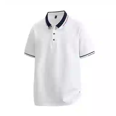 mula 2025Polo