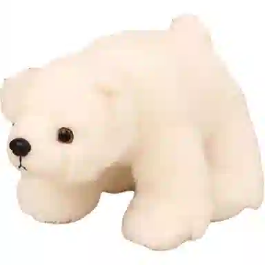 MORTEN SOLUM 20cm30cm