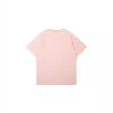 LSVE NASA T