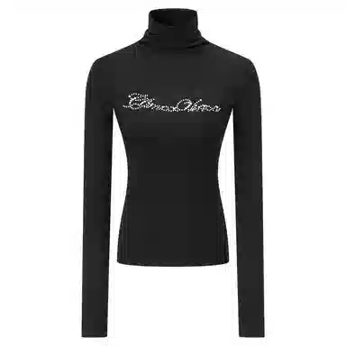 CLIMAX VISION logo T