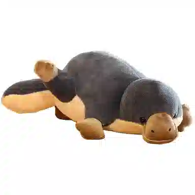 Brangdy 60cm70cm80cm90cm