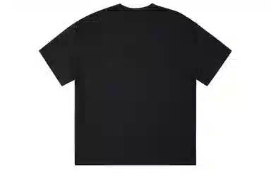 ICONS Lab ICS T