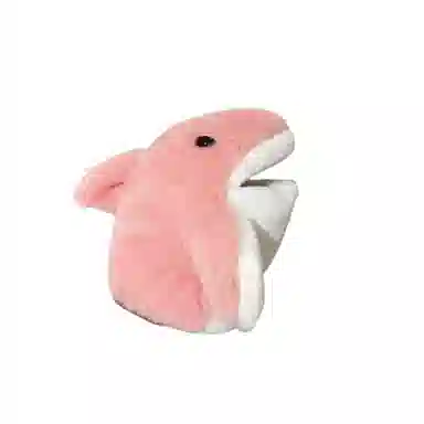 25cm