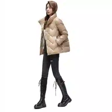 鸭鸭 经典韩版立领洋气百搭舒适羽绒服 女款