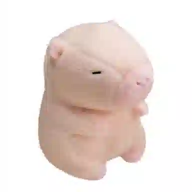 25cm