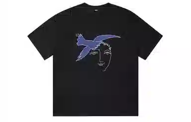 ICONS Lab ICS T