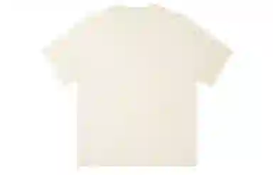 ICONS Lab ICS T