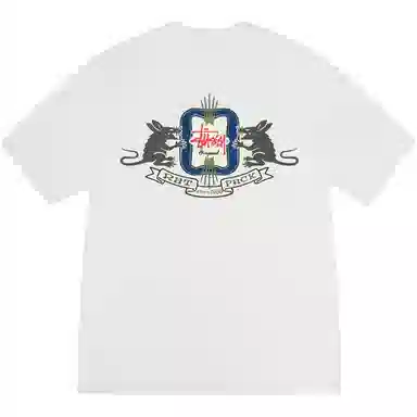 Stussy SS25 Homebrew Tee