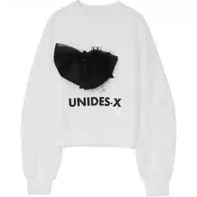 UNIDES-X UX