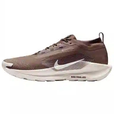 Nike Pegasus Trail 5 GORE-TEX