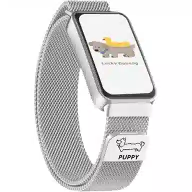 watchbond 8NFC