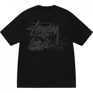 Stussy logoT