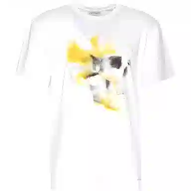 Alexander McQueen T
