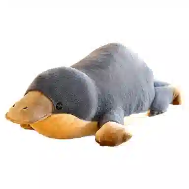 Brangdy 60cm70cm80cm90cm