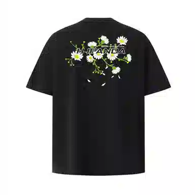 HIPANDA T