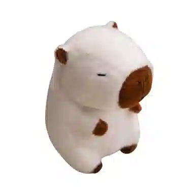 25cm