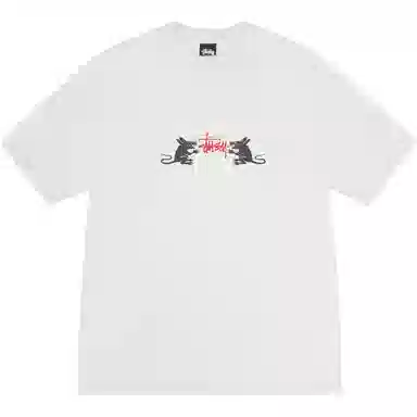 Stussy SS25 Homebrew Tee