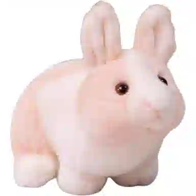 28cm