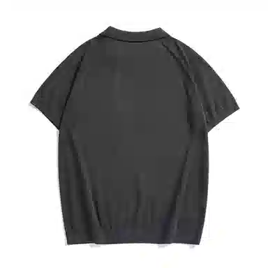 Hansca Polo