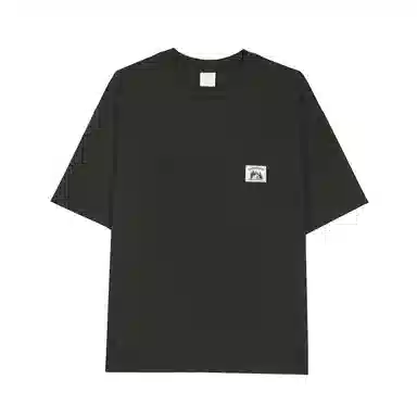 GWIT T
