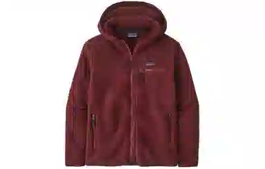 Patagonia Retro Pile Hoodie