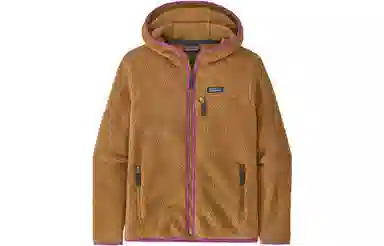 Patagonia Retro Pile Hoodie