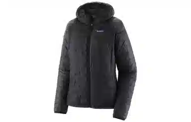 patagonia Micro Puff Logo
