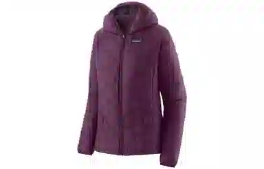 patagonia Micro Puff Logo