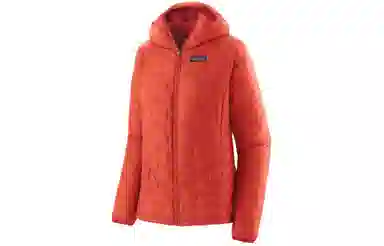 patagonia Micro Puff Logo