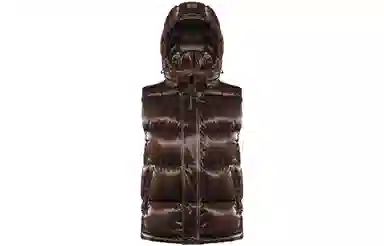 Aritzia Super Puff Liquid Shine