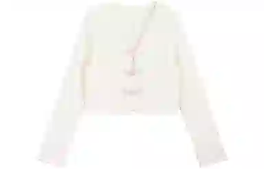 SNZX V