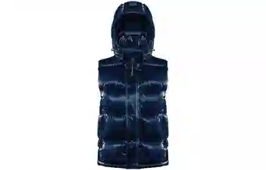 Aritzia Super Puff Liquid Shine