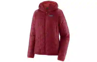 patagonia Micro Puff Logo