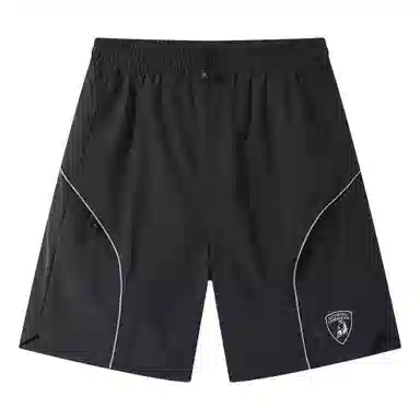 Automobili Lamborghini logo