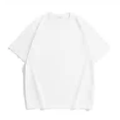 Hansca T