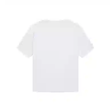 SWISS MILITARY SS25 T