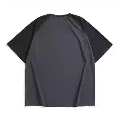 Hansca T