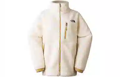 THE NORTH FACE Nuptse FW23 Logo